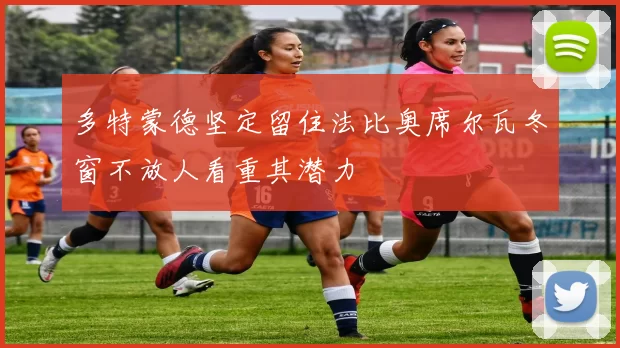 多特蒙德坚定留住法比奥席尔瓦冬窗不放人看重其潜力
