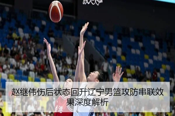 赵继伟伤后状态回升辽宁男篮攻防串联效果深度解析